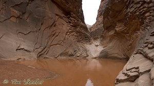 Fractured Canyon Pool